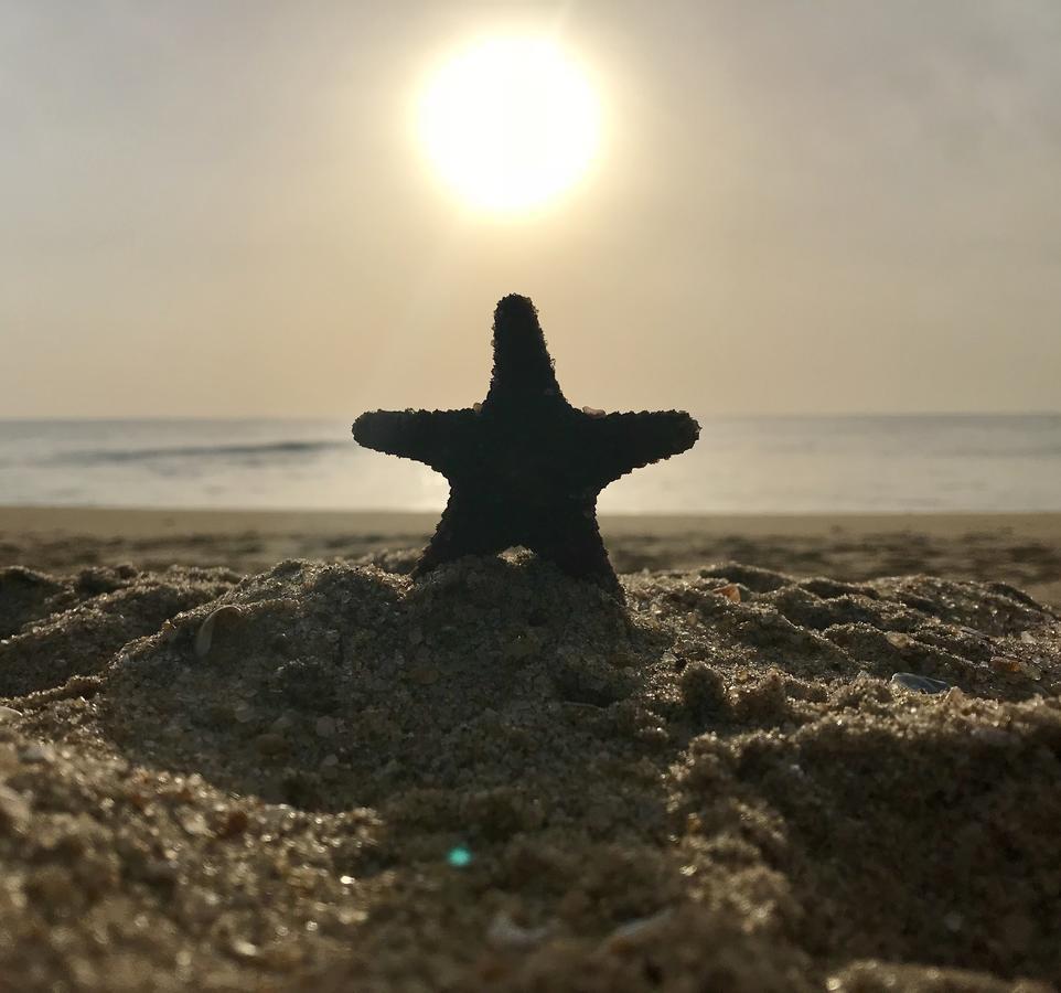 Starfish Beach Bungalows Аругам Экстерьер фото